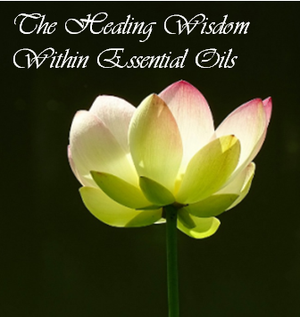 Healing Wisdom Within Essential Oils