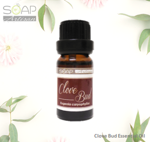 Soap Artisan | Clove Bud Essential Oil
