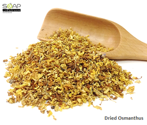 Soap Artisan | Dried Osmanthus Flowers  干燥桂花