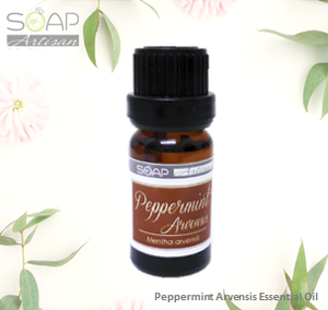 Soap Artisan | Peppermint Arvensis Essential Oil