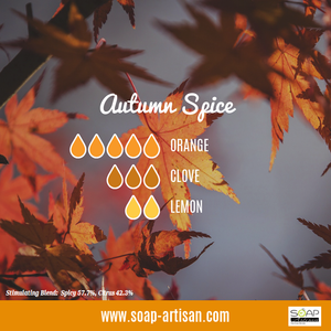 Soap Artisan | Autumn Spice Blend with Orange and Clove