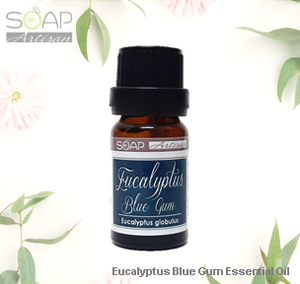 Soap Artisan | Eucalyptus Blue Gum