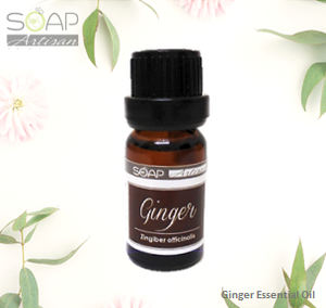 Soap Artisan | Ginger Essential Oil