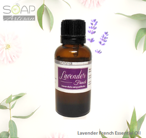 Soap Artisan | Lavender French Essential Oil