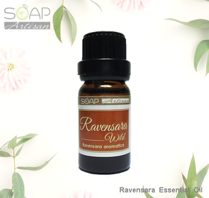 Ravensara Essential Oil 罗文莎叶精油