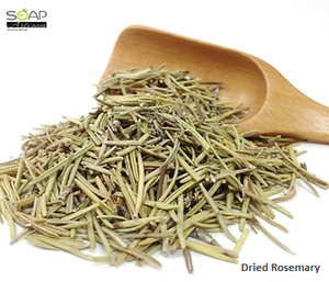 Soap Artisan | Dried Rosemary Leaves 迷迭香叶