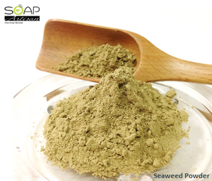 Soap Artisan | Seaweed Powder 海藻粉
