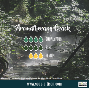 Soap Artisan | Stimulating Aromatherapy Blend with Pine Oil