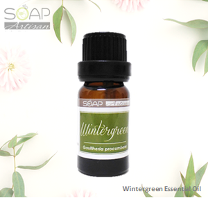 Soap Artisan | Wintergreen Essential Oil