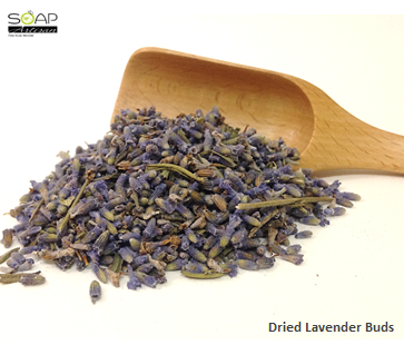 Soap Artisan | Dried Lavender Buds  干燥薰衣草花苞